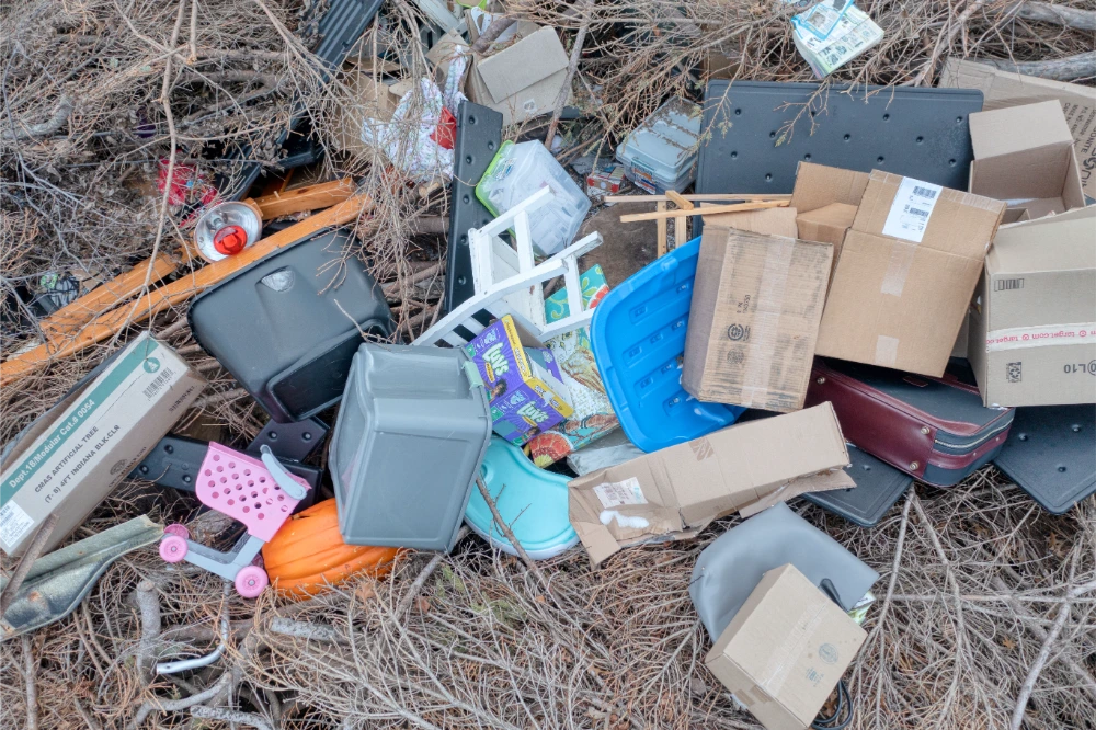 Estate Cleanout