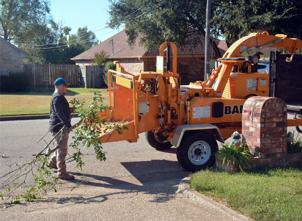 yard waste removal